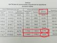 Сегодня победа в войне - это будущее наших детей. Будет или нет - зависит от нас. А для победы нужна наша помощь, - Доник