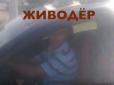 У Слов'янську чоловік на очах у малолітніх дітей жорстоко вбив власну собаку