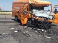 На Миколаївщині зіткнулися два автобуси, багато постраждалих, є загибла (фото)