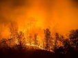 Кліматолог розповіла про непоправні загрози від масштабних пожеж у Сибіру