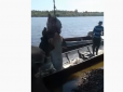 У Росії спіймали гігантську рибу, яку довелося діставати екскаватором: відео