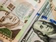 Рекордний обвал долара вдарить по економіці України: Названо три небезпеки