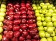 Українські садівники ідуть у прорив: Експорт яблук сягнув нового рекорду