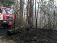 Масштабна лісова пожежа спалахнула на Харківщині