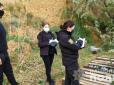 Страшна трагедія на Одещині: Зниклу 14-річну дівчину знайшли мертвою на березі лиману (фото)
