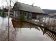 Затоплено десятки будинків і шкіл: У Росії ріка вийшла з берегів (відео)