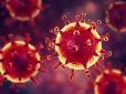 В Україні - понад 14 тис. заражених коронавірусом: Свіжа статистика від МОЗ (відео)