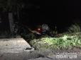 На Закарпатті п'яний водій злетів з дороги на город і перекинувся (фото)
