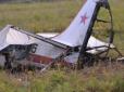 Ніхто не вижив: У Росії розбився літак (відео)