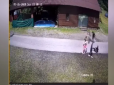 На Закарпатті чоловік побив 12-річну дівчинку, яка випадково в’їхала в його сім’ю на велосипеді (відео)