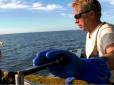 Знаходить у велетенському океані: Капітан врятував поранену чайку - і вже 15 років вона прилітає на його човен, де б він не був