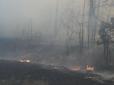 Потужні пожежі на Харківщині та Луганщині: Росіяни навмисне подпалили суху траву (відео)