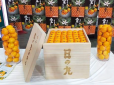 З архіву ПУ. На вагу золота: В Японії на аукціоні продали ящик мандаринів за ... $9600