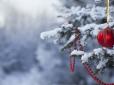 Зимова казка під питанням: Синоптики розповіли, якої погоди чекати на Новий рік в Україні