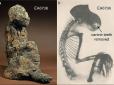 Археологи вивчили останки тварин, яким 3 тис. років, і розгадали таємницю 
