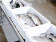 Співробітників супермаркету засудили за ... жорстоке поводження з рибою