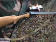 Прийшов за ялинкою до свят: На Буковині мисливець застрелив односельчанина (фото, відео)