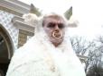 Забодав суперника та фліртував із корівкою: Директор Одеського зоопарку зняв відео в образі символу наступного року