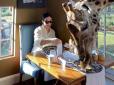 Поснідала з жирафом: Дружина мера Дніпра влаштувала незвичну фотосесію у Африці