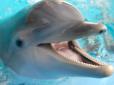В Індії невідомі до смерті познущались над рідкісним дельфіном (відео)