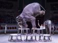 На арені цирку під час виступу побилися ... слони (відео)