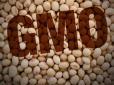 Українців прагнуть нагодувати небезпечною продукцією: В Україну незаконно завезли величезну партію харчової сировини з ГМО, - Конституційно-правовий конгрес