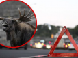Під Києвом авто на шаленій швидкості збило лося, тварина загинула миттєво (фото)