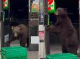 На вході скористався санітайзером: У США бурий ведмідь прийшов у супермаркет (відео)