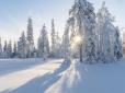 Ударять 30-градусні морози! Синоптики дали детальний прогноз на зиму в Україні
