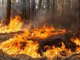 Дітям і літнім людям загрожує смерть: Окупанти на Херсонщині не дозволяють загасити пожежу в лісах