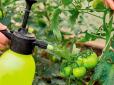 Лайфхак для городників: Додайте сироватку та йод - збиратимете урожай овочів відрами