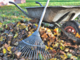 Безплатне супердобриво для саду та городу: Що робити з опалим листям восени