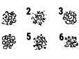 Перевірте себе! Психологічний тест - обраний візерунок розповість все про ваш характер