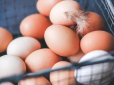 Які яйця корисніші - білі чи коричневі? Відповідь вас здивує