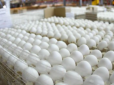 Не межа: Теперішні ціни на яйця в наступному році можуть здатися низькими  - думки експертів