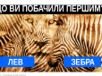 Лев чи зебра? Перше побачене на цій картинці розкаже, як ви ставитеся до проблем у житті