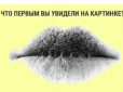 Екстраверт або інтроверт? Цей тест у картинці розповість про ваші приховані якості