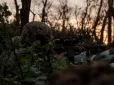 Українські військові звільнили лісовий масив, який окупанти прозвали 