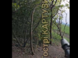Є вразливість: Військові розповіли про слабке місце FPV-дронів на оптоволокні та показали, як їх збивають  (відео)