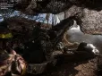 Вдалося не лише звільнити частину території: Бійці ЗСУ просунулися вперед на Запоріжжі