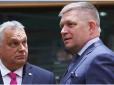 Думаю, що найближчим часом купляти зброю для нас будуть... Орбан і Фіцо, - Віктор Андрусів