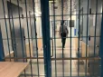 Спритна пані врахувала майже всі дрібниці: Естонія викрила схему постачання люксових авто до РФ