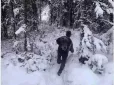 Перевірте себе! Що побачили першим? Тест розкриє правду про вашу особистість