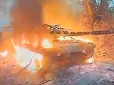 ​Замаскувався гіллям - краще горів: 
