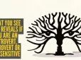 Перевірте себе! Тест покаже, ви інтроверт чи екстраверт