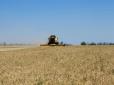 Попри російську блокаду морських портів, Україна вдвічі наростила експорт пшениці нового урожаю